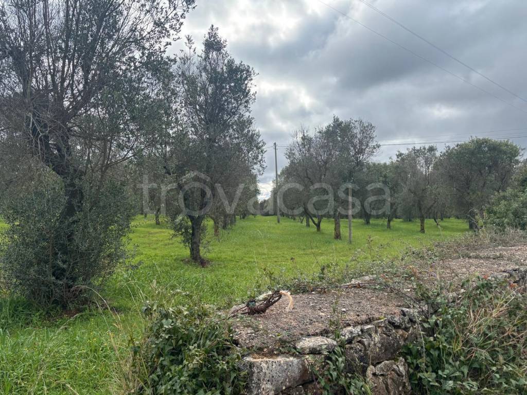 immagine annuncio 7 di 11