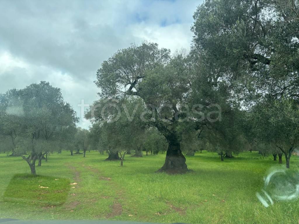 immagine annuncio 8 di 11