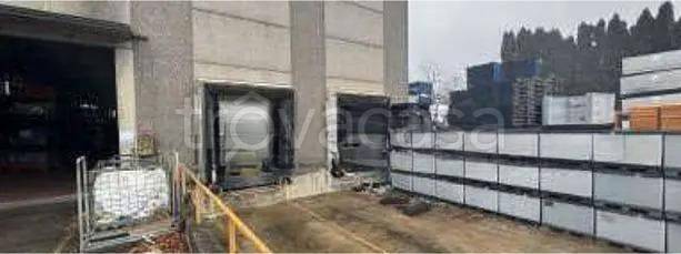 immagine annuncio 2 di 12