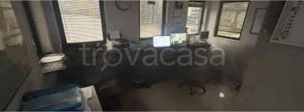 immagine annuncio 4 di 12