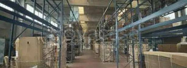 immagine annuncio 5 di 12