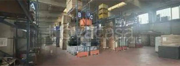 immagine annuncio 6 di 12