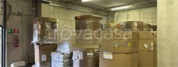 immagine annuncio 7 di 12