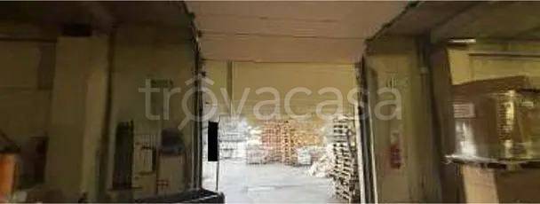 immagine annuncio 8 di 12