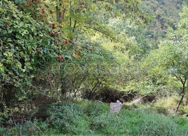 immagine annuncio 6 di 13