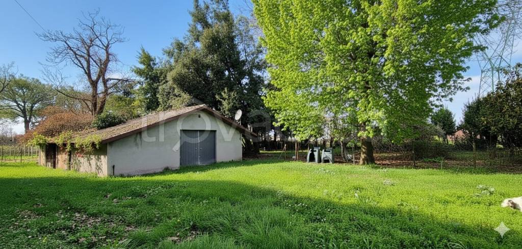 immagine annuncio 3 di 15