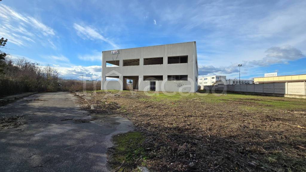 immagine annuncio 12 di 15