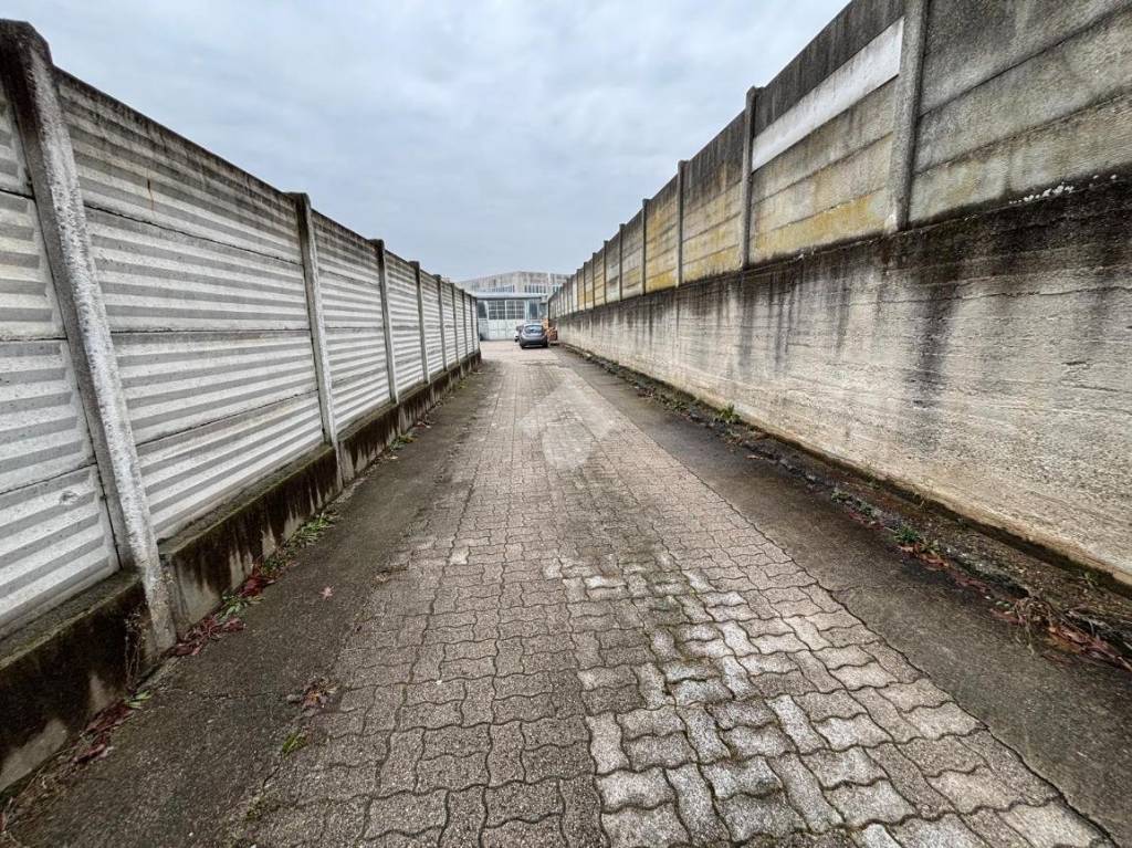 immagine annuncio 4 di 12