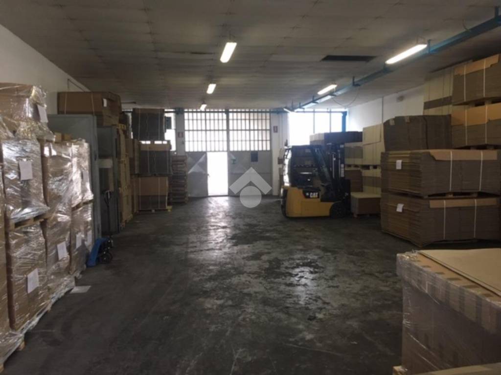 immagine annuncio 6 di 12