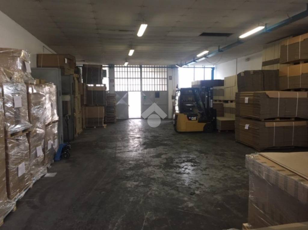 immagine annuncio 8 di 12