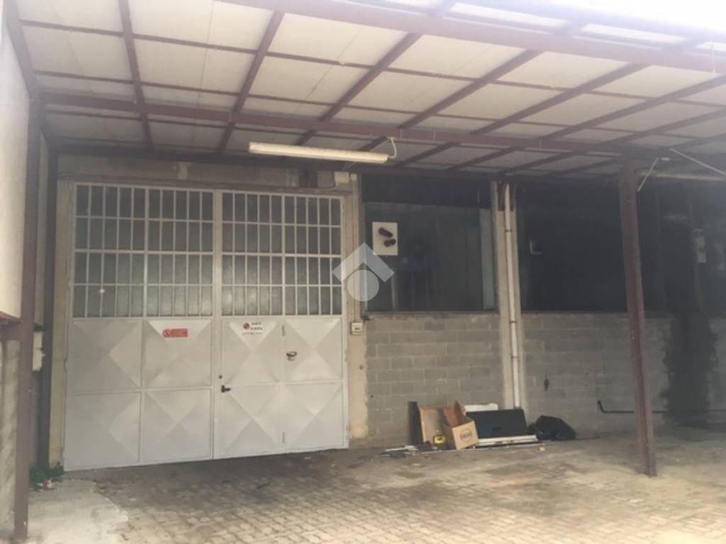 immagine annuncio 11 di 12