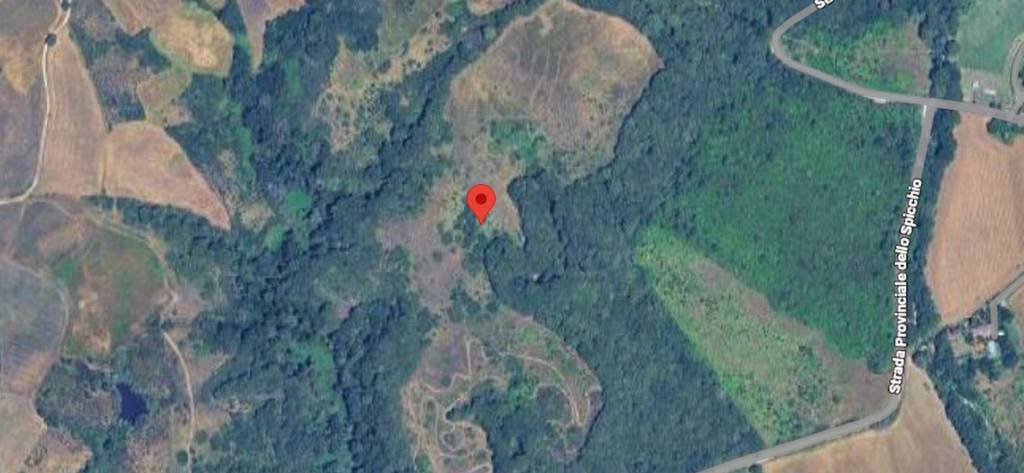 immagine annuncio 8 di 11