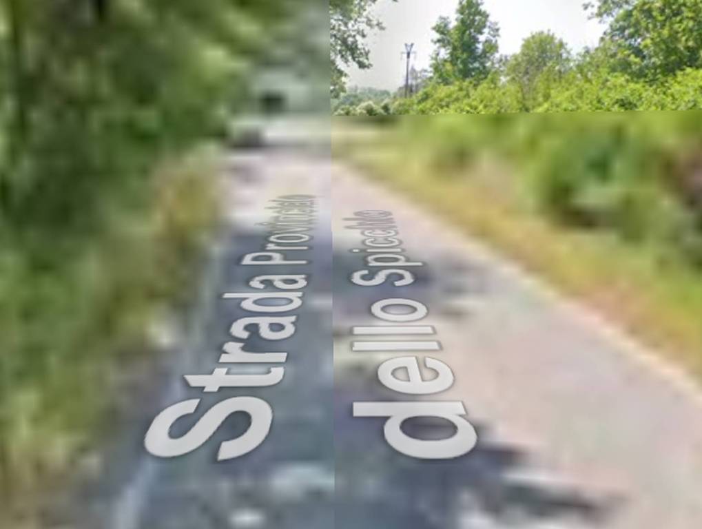 immagine annuncio 9 di 11