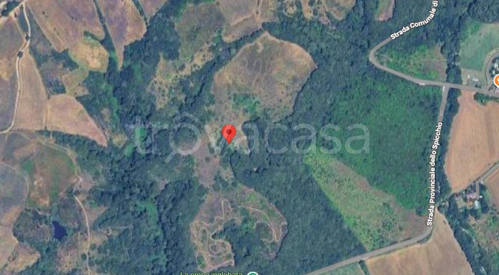 immagine annuncio 10 di 11