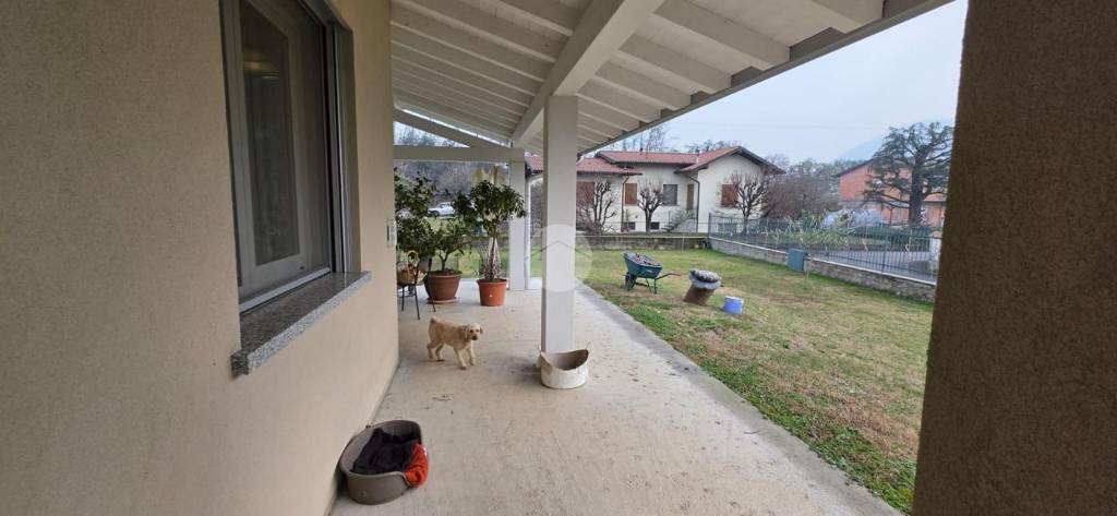 immagine annuncio 12 di 15