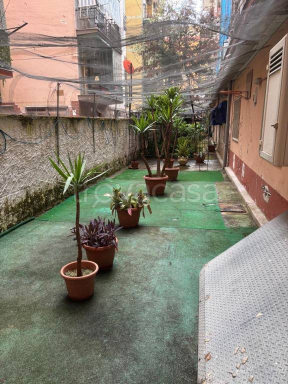 immagine annuncio 6 di 12