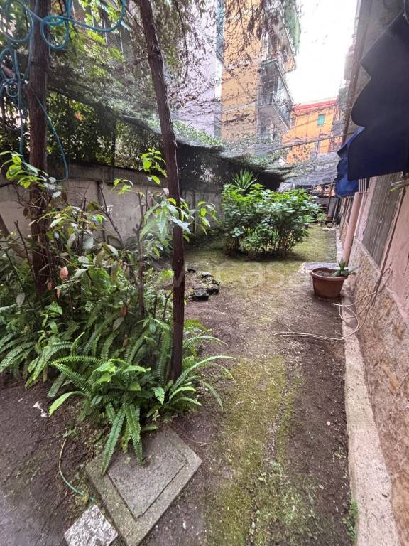 immagine annuncio 9 di 12