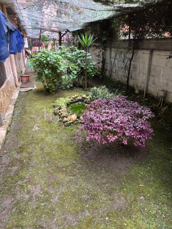 immagine annuncio 3 di 12