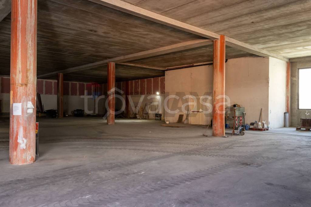 immagine annuncio 3 di 11