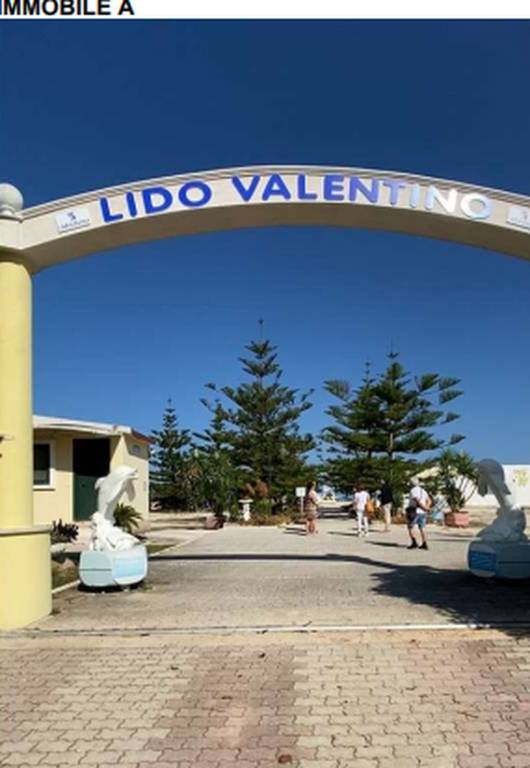 immagine annuncio 9 di 11