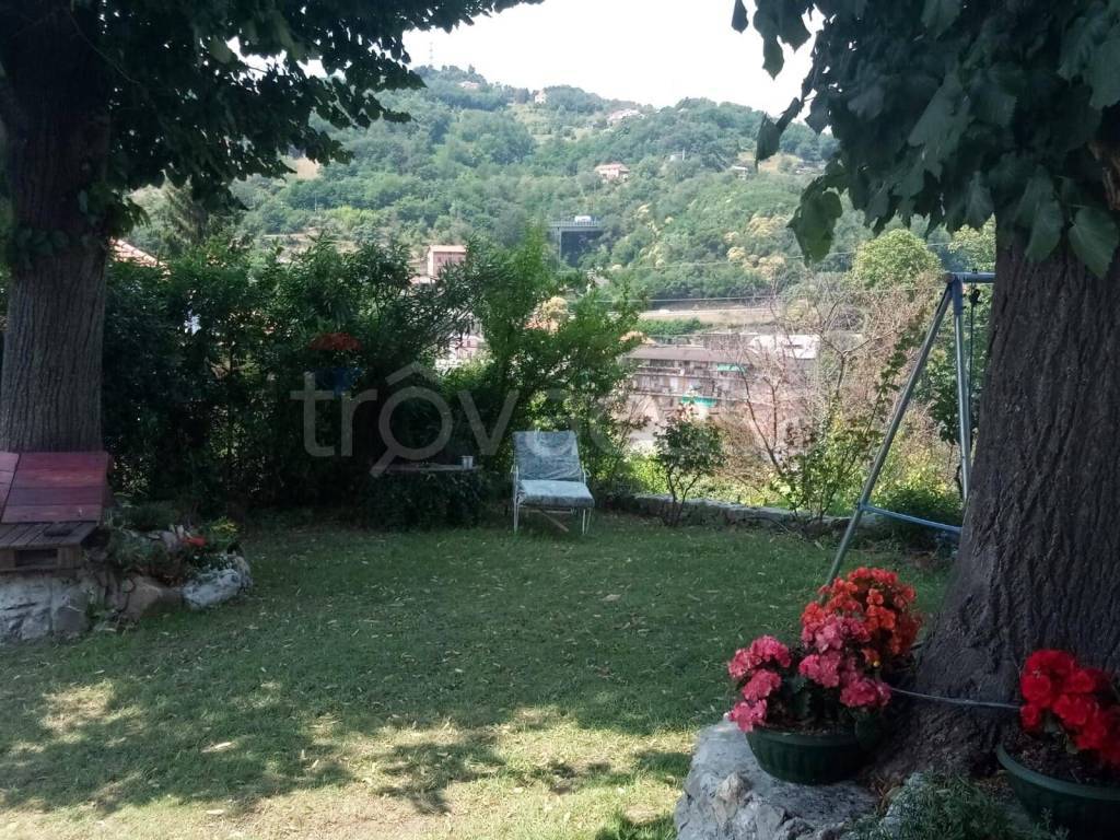 immagine annuncio 10 di 13