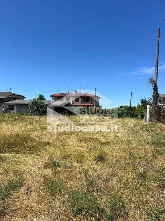 immagine annuncio 5 di 6