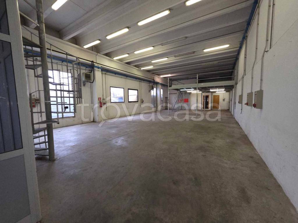 immagine annuncio 1 di 11