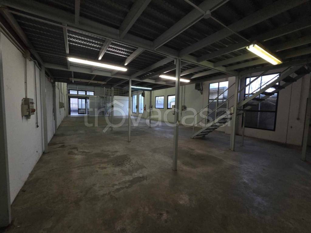 immagine annuncio 5 di 11