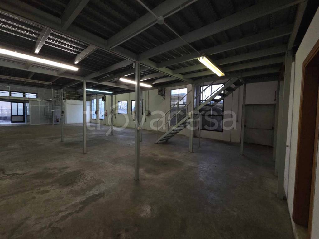 immagine annuncio 6 di 11