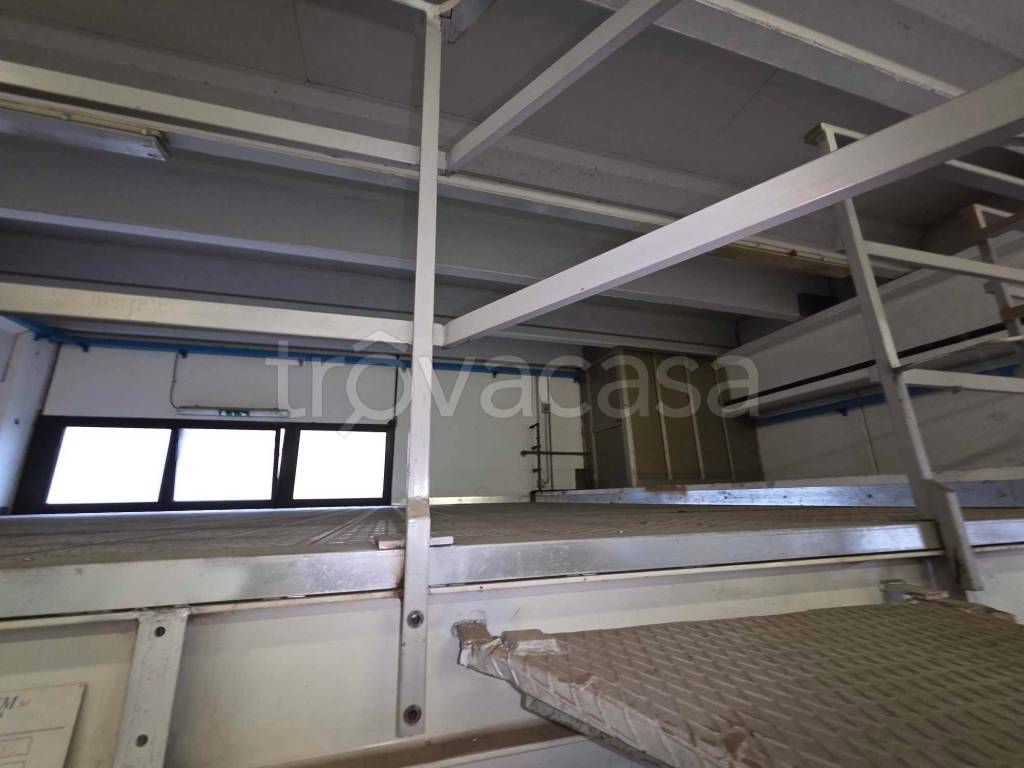 immagine annuncio 7 di 11