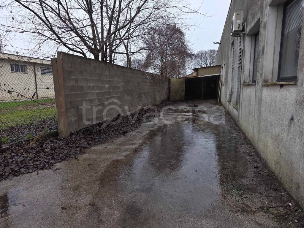 immagine annuncio 10 di 11