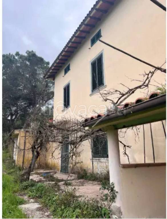 immagine annuncio 3 di 14