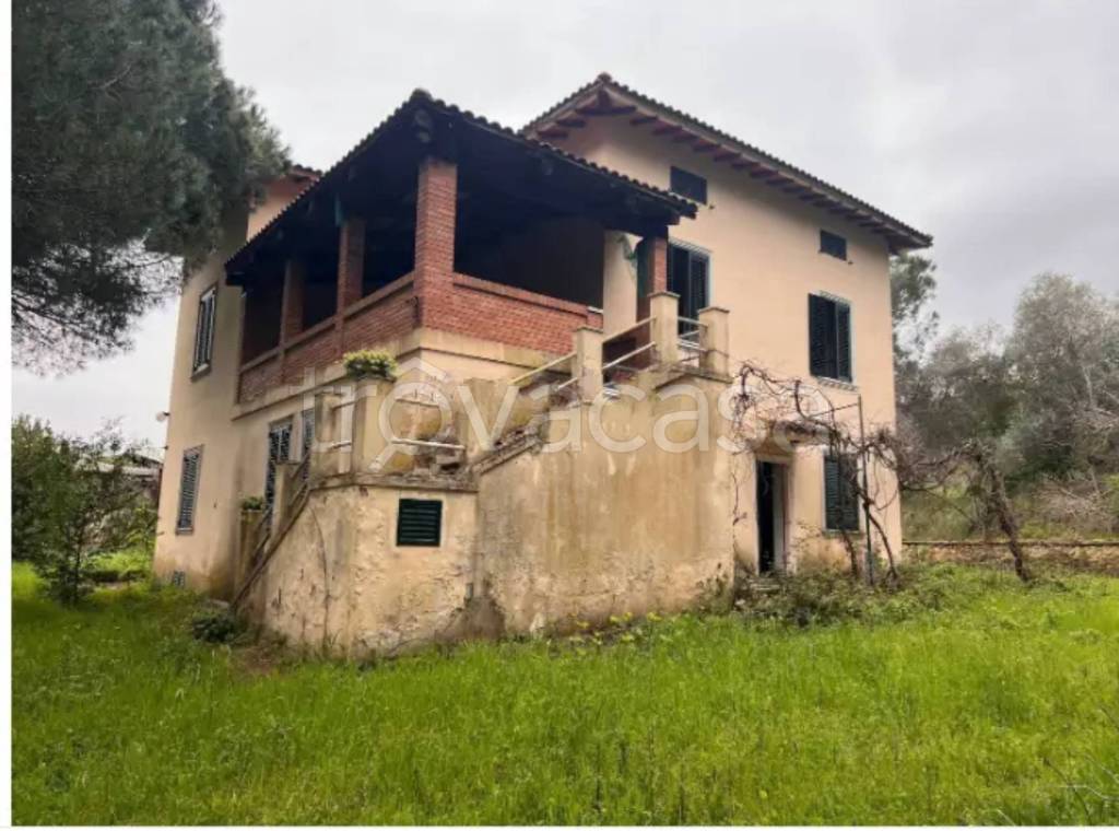 immagine annuncio 13 di 14