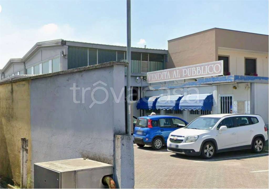 immagine annuncio 8 di 15