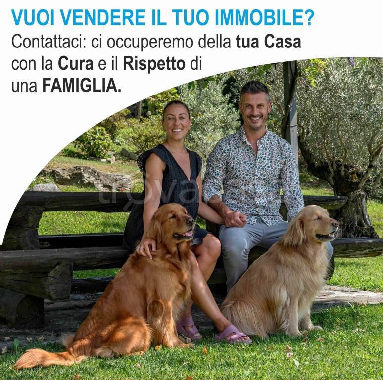 immagine annuncio 10 di 11