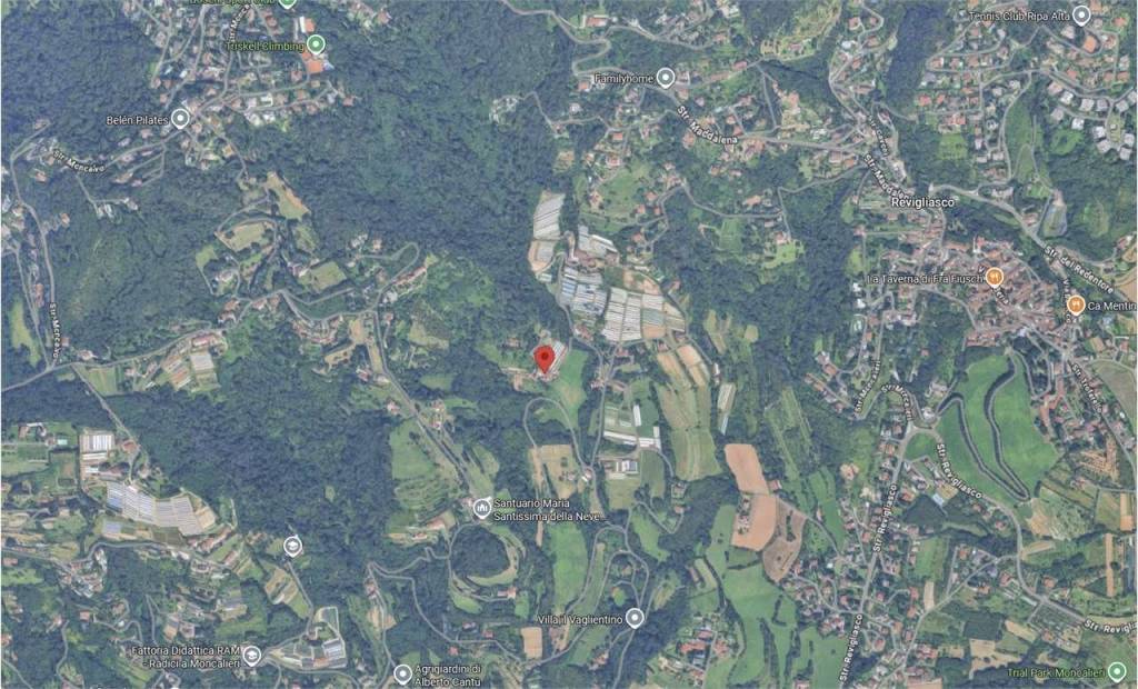 immagine annuncio 3 di 14