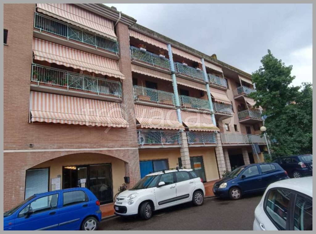 immagine annuncio 14 di 15