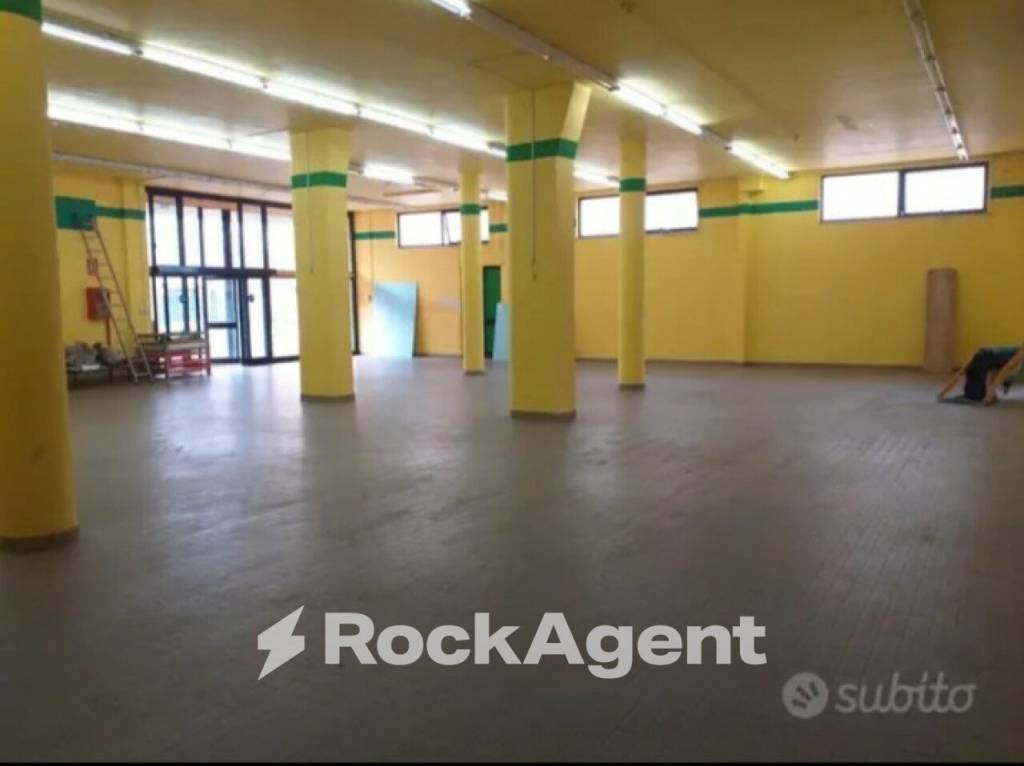 immagine annuncio 12 di 15