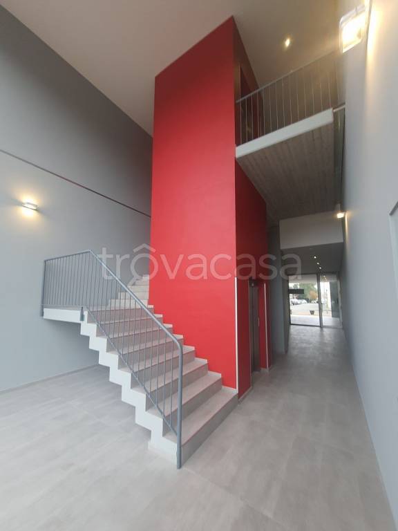 immagine annuncio 3 di 6