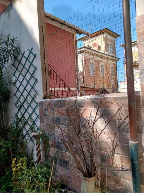 immagine annuncio 1 di 14