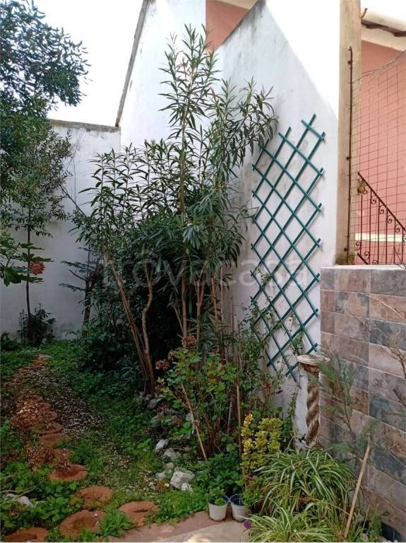 immagine annuncio 2 di 14