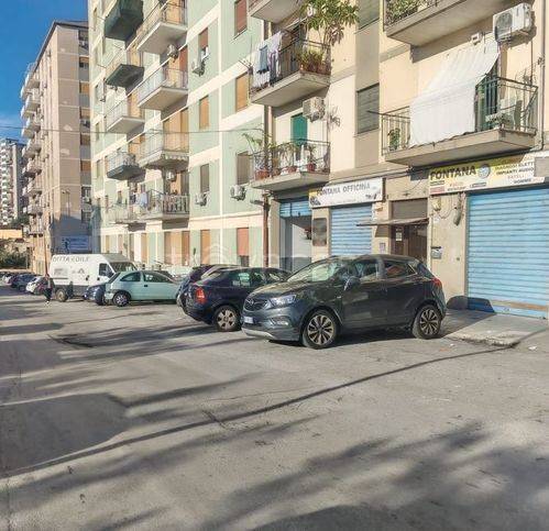 immagine annuncio 6 di 7