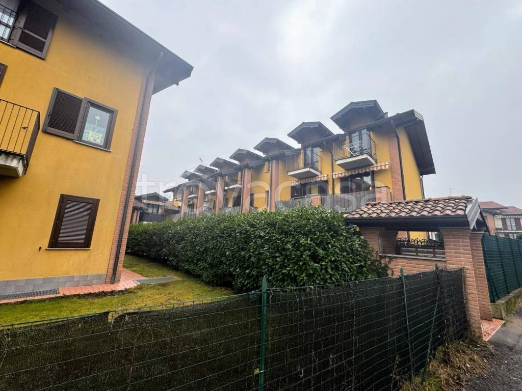 immagine annuncio 2 di 15