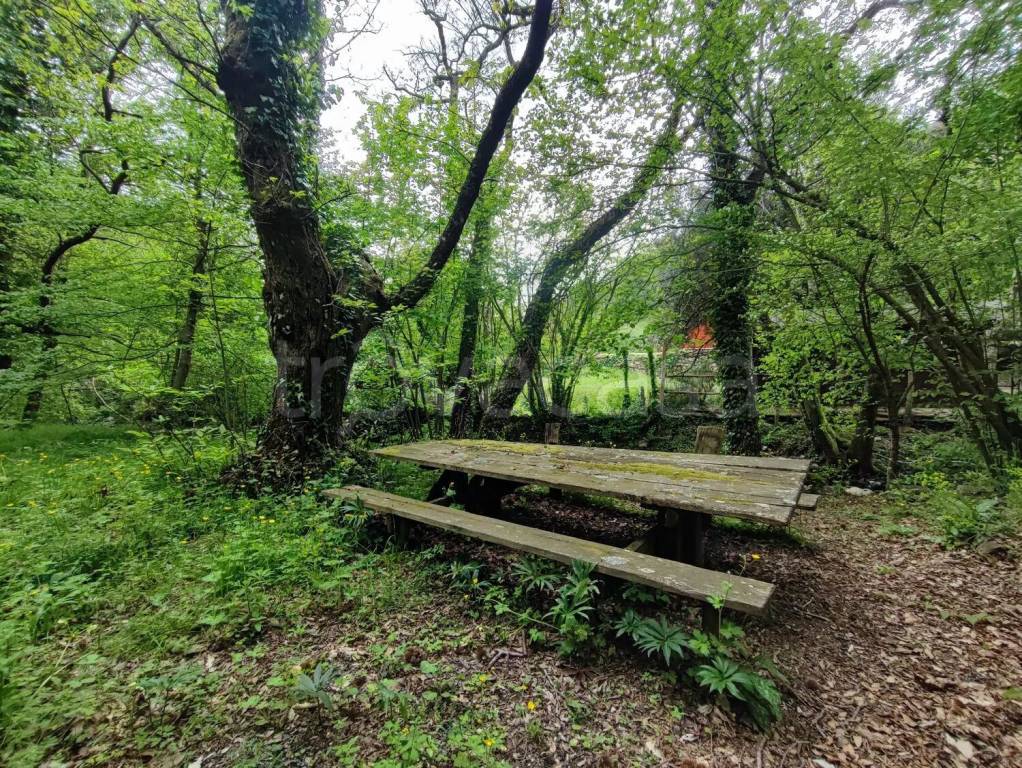 immagine annuncio 3 di 7