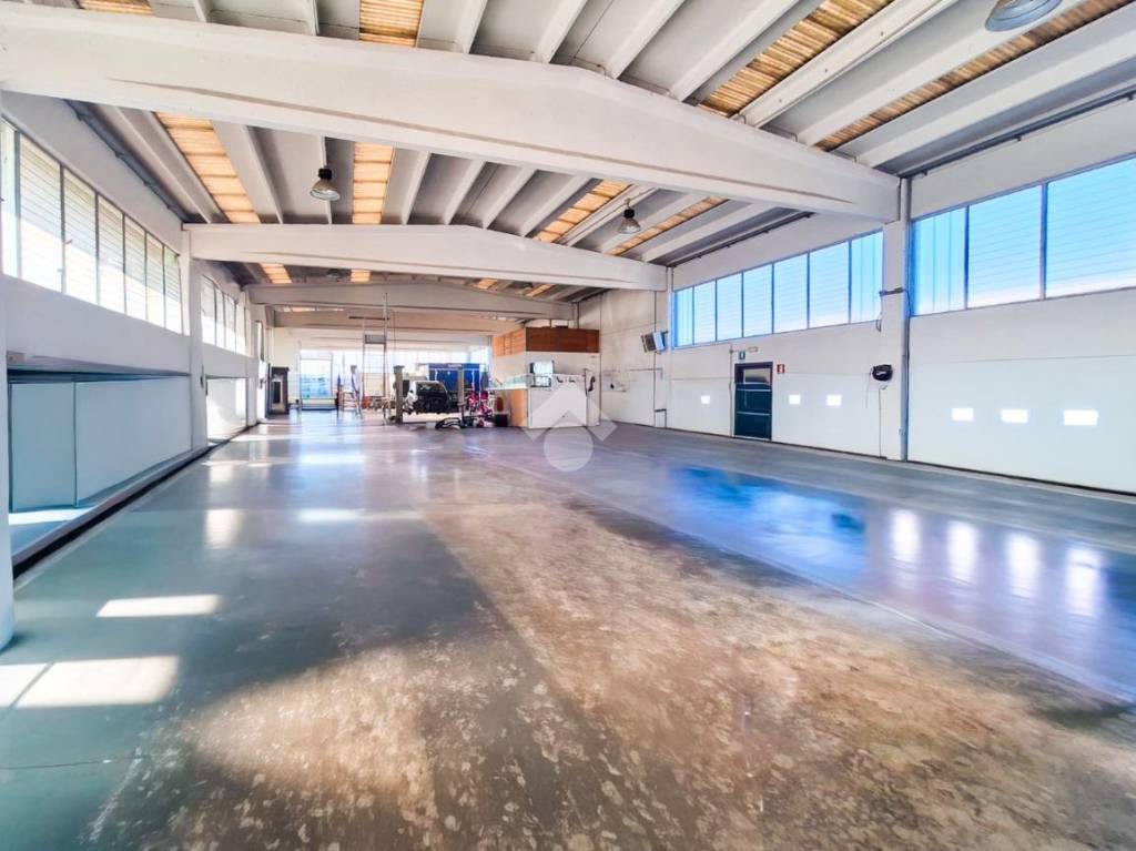 immagine annuncio 1 di 15