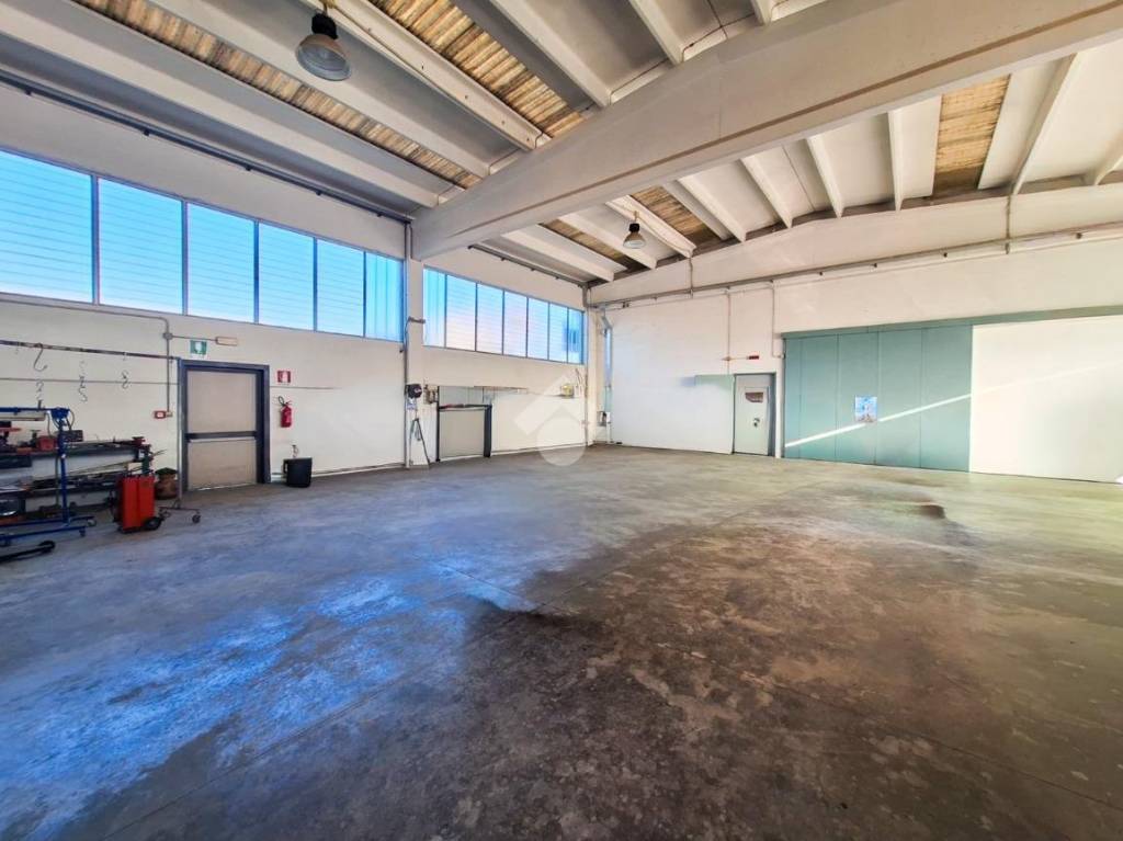 immagine annuncio 8 di 15