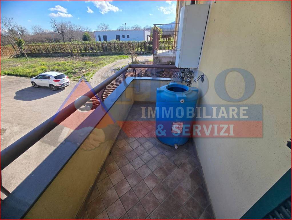 immagine annuncio 11 di 14