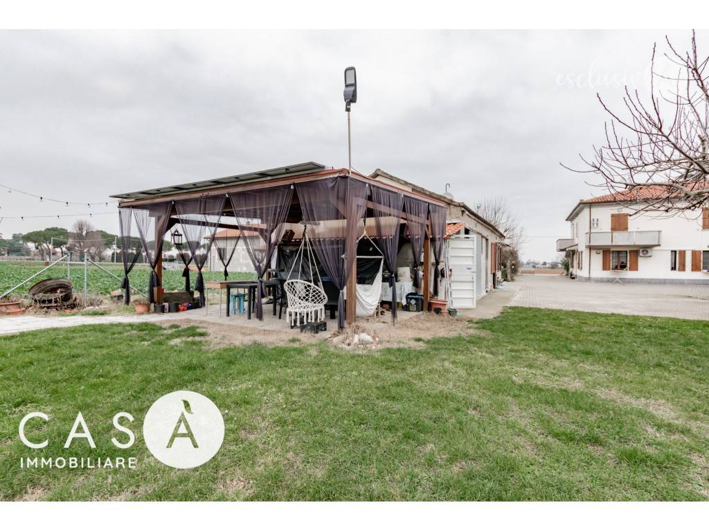 immagine annuncio 12 di 15