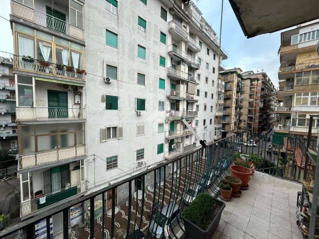 immagine annuncio 1 di 12