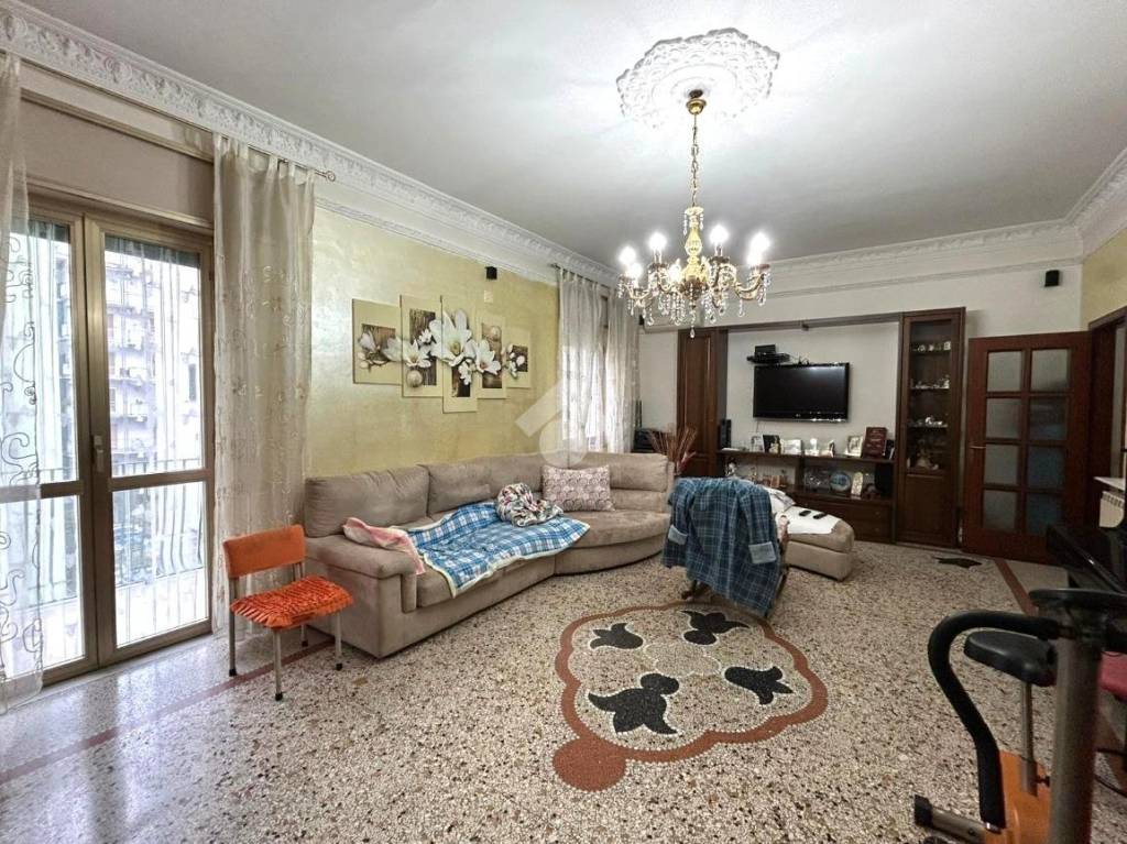 immagine annuncio 4 di 12